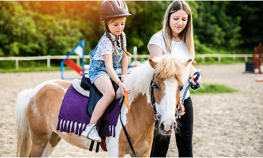 The Science of Stretching: How It Benefits Both Horse and Rider